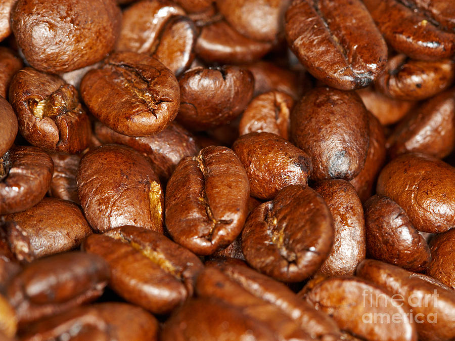 Dark roasted coffee beans Photograph by Nick  Biemans