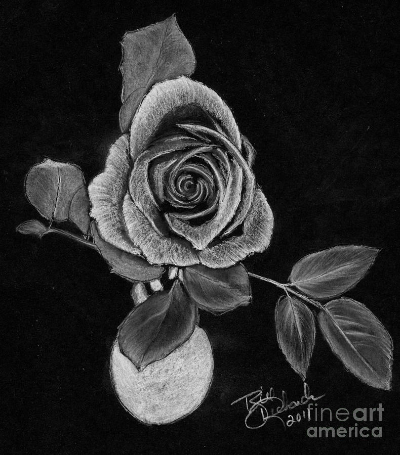Dark Rose Drawing by Bill Richards