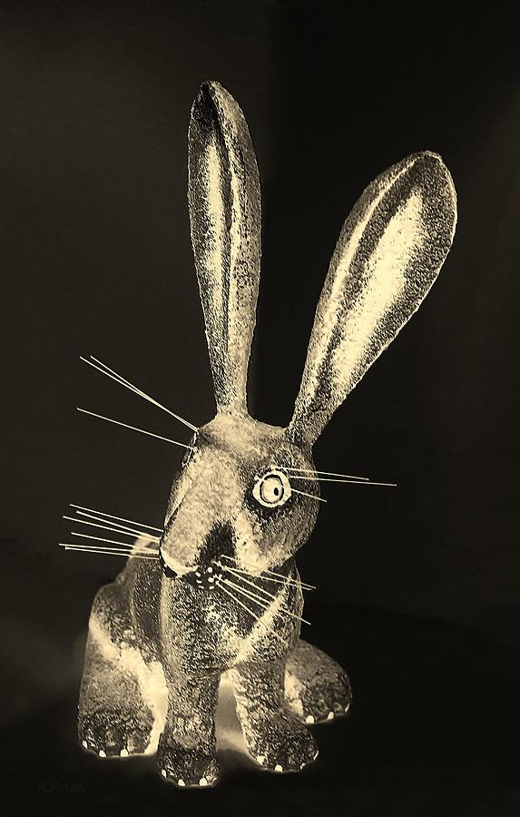 Dark Sepia New Mexico Rabbit Photograph by Rob Hans
