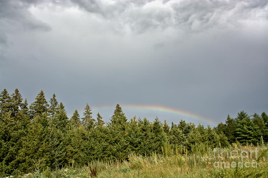 Dark Skies with Rainbow Photograph by Cheryl Baxter