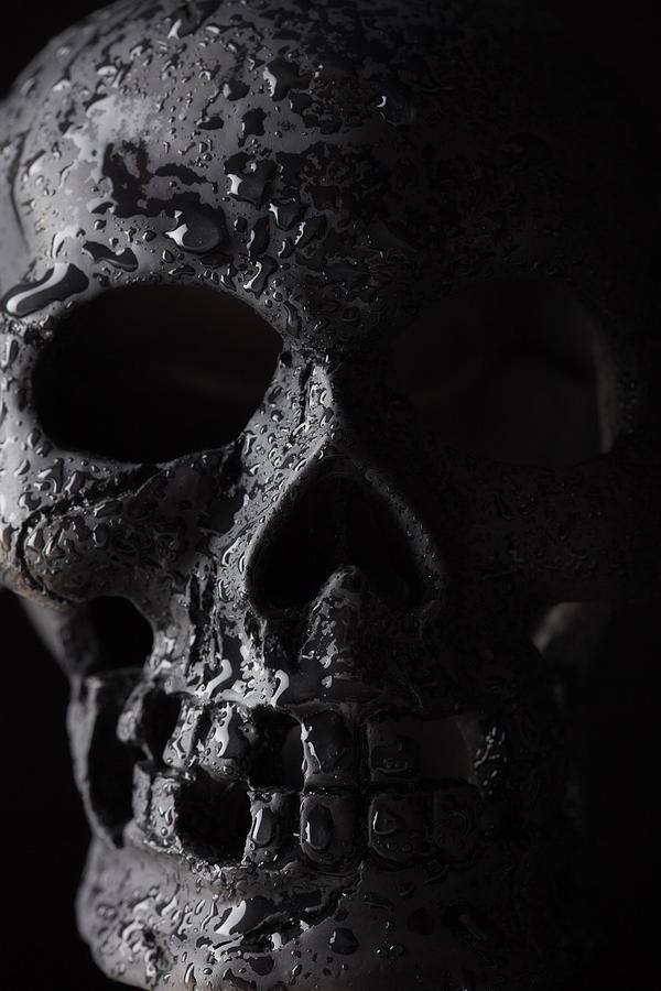Dark Skull Photograph by DanBrandenburg