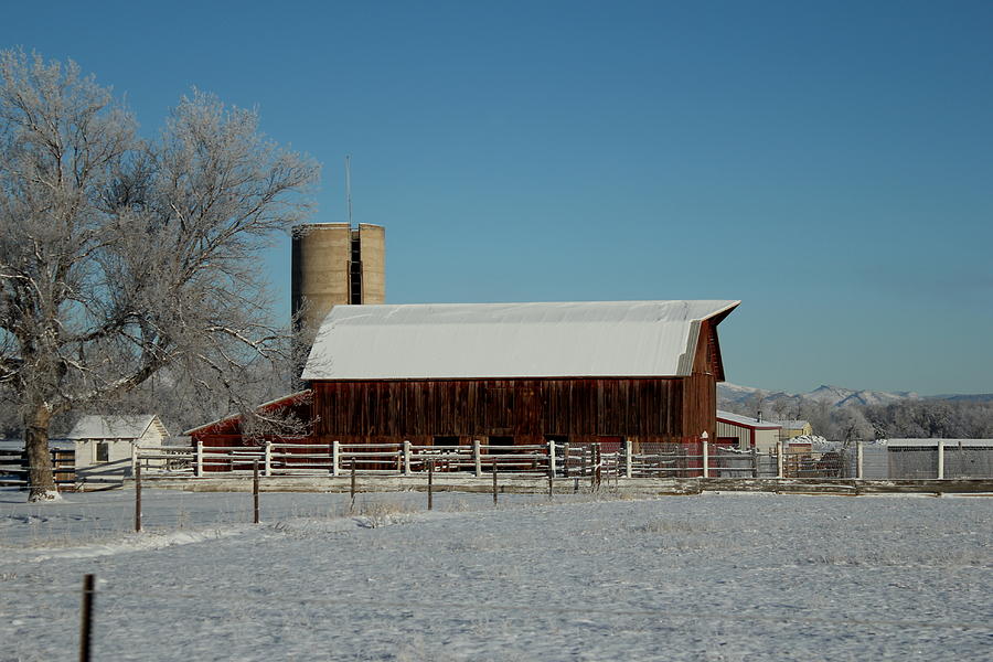 Dark Snowy Barn Photograph by Trent Mallett