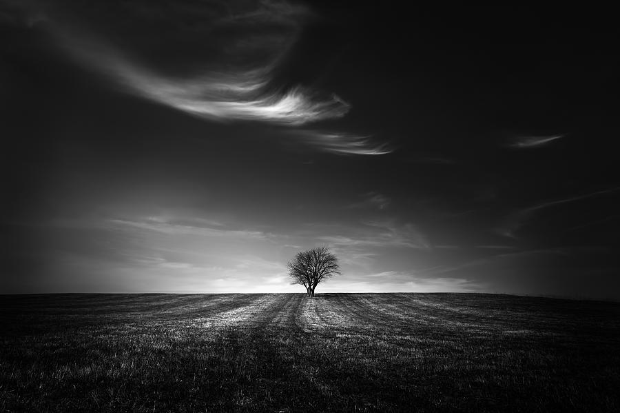Landscape Photograph - Dark solitude by Dragos Ioneanu
