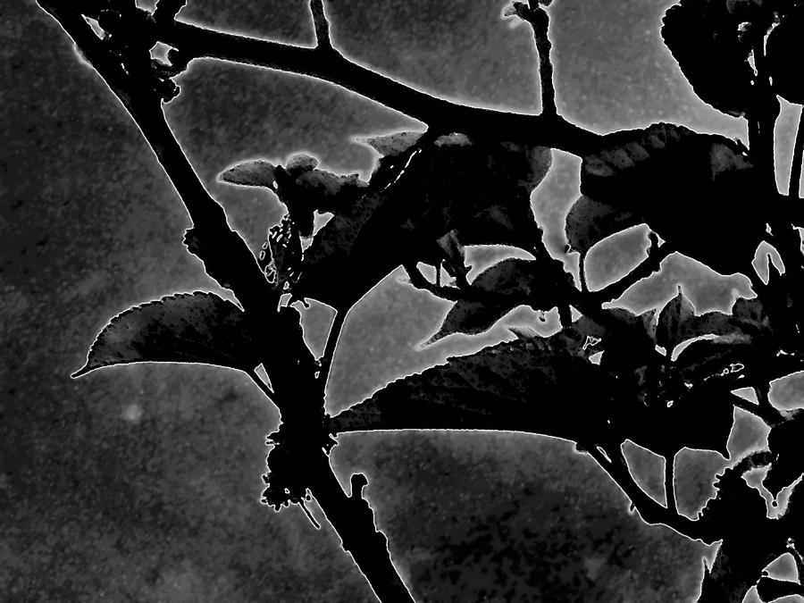 Dark Spring Digital Art