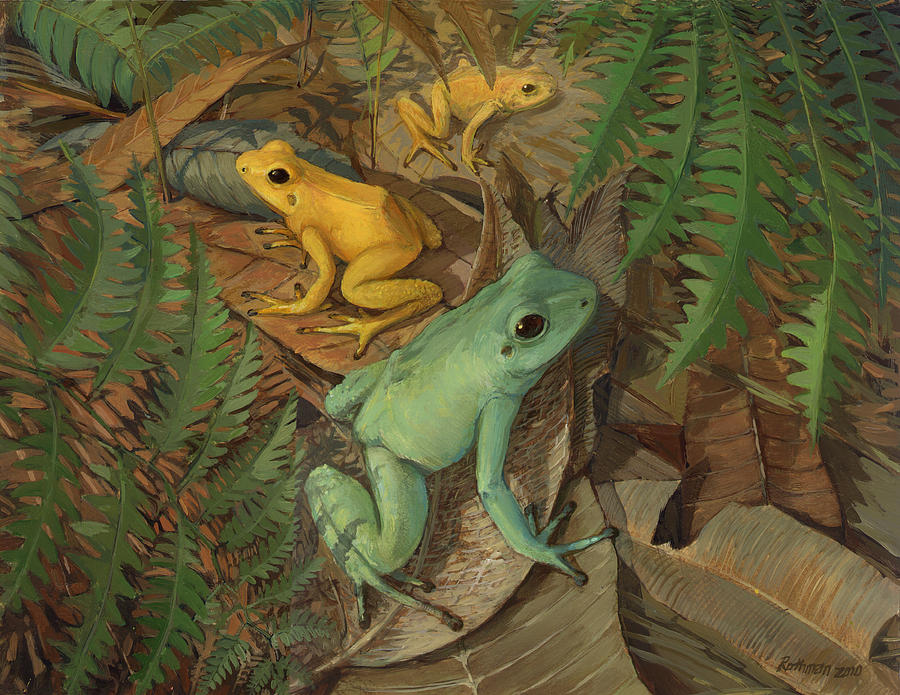 Wildlife Painting - Dart Arrow Frogs by ACE Coinage painting by Michael Rothman