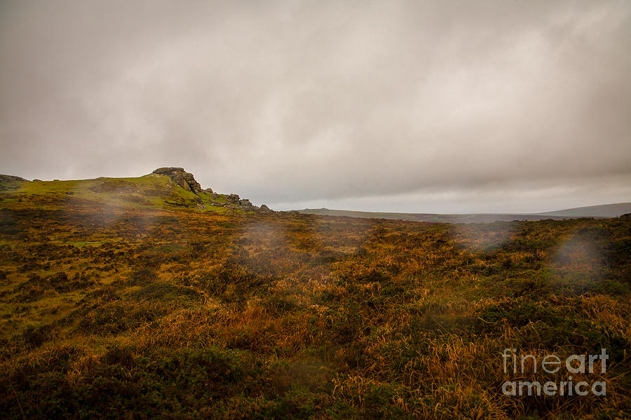 Nature Photograph - Dartmoor Rain by Jan Bickerton