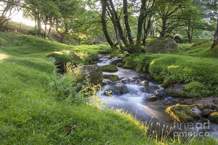 Dartmoor Stream Photograph by Donald Davis