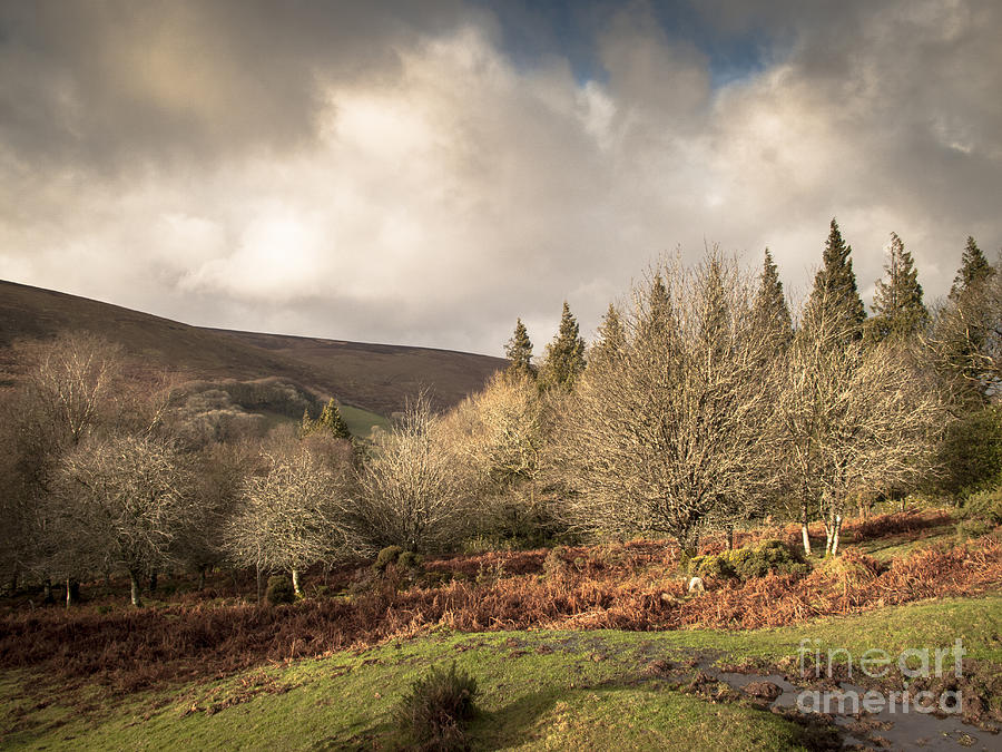 Dartmoor View Photograph by Jan Bickerton