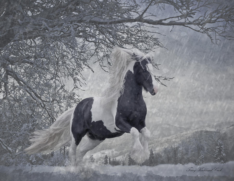 Dashing Through the Snow II Digital Art by Terry Kirkland Cook