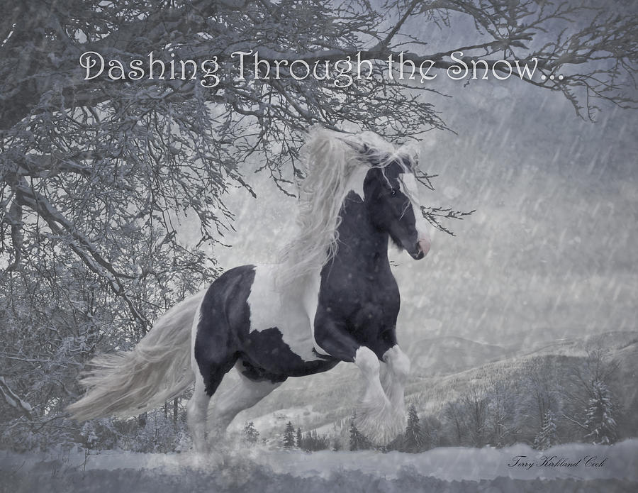 Dashing Through the Snow Digital Art by Terry Kirkland Cook