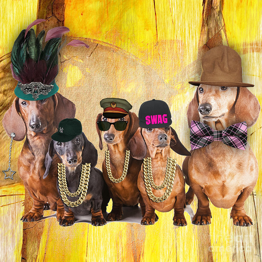 Cool Mixed Media - Dachshunds by Marvin Blaine