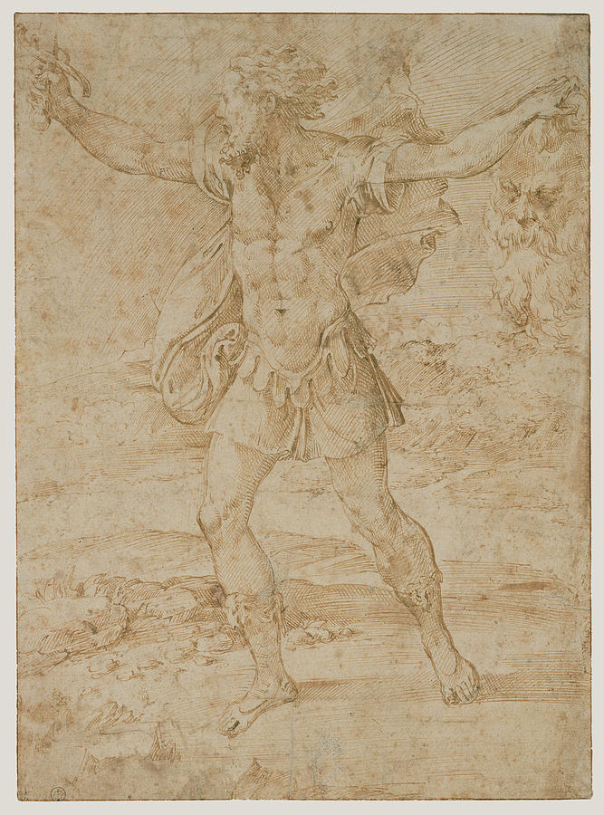 Parmigianino Drawing - David With The Head Of Goliath Parmigianino Francesco by Litz Collection