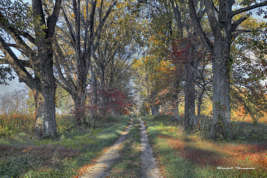 Daviess County Lane Photograph by Wendell Thompson
