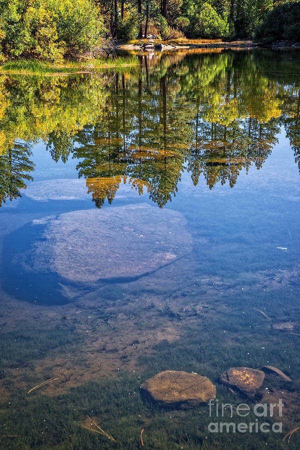 Davis Creek Pond Photograph
