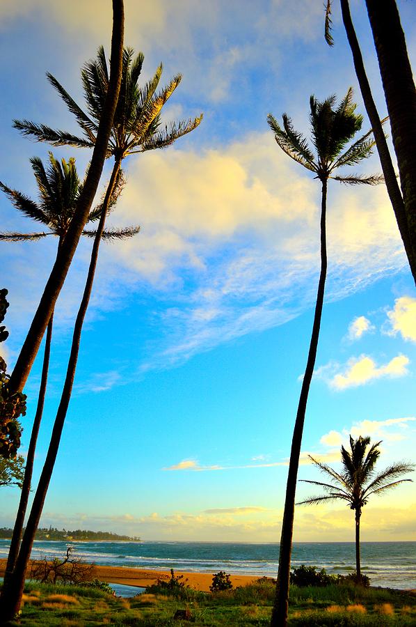 Dawn and Palms Kauia - Hawaii Photograph by Jeremy Hall