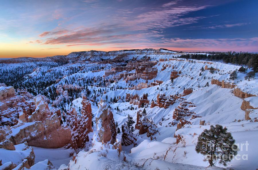 Dawn At Bryce Photograph by Adam Jewell