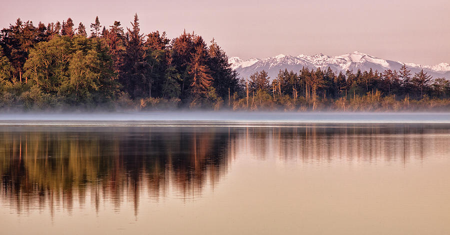 Dawn At Lake With Reflected Trees And Photograph by Michael Riffle