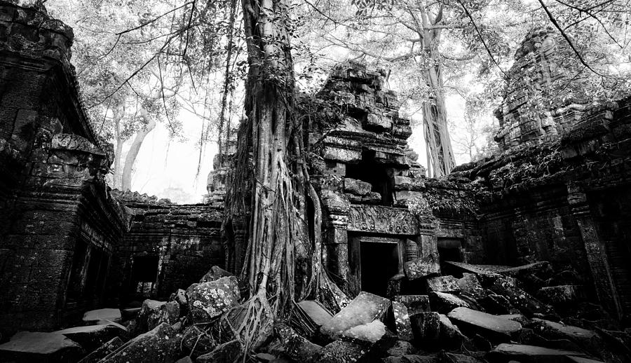 Black And White Photograph - Dawn at Ta Prohm by Julian Cook