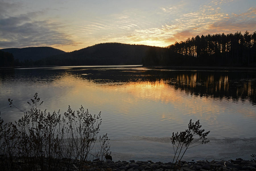 Dawn at the Lake Photograph by Nancy De Flon