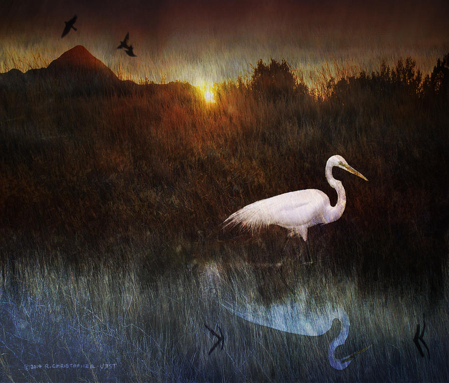 Sunset Painting - Dawn At The Meadow Marsh Egret by R christopher Vest