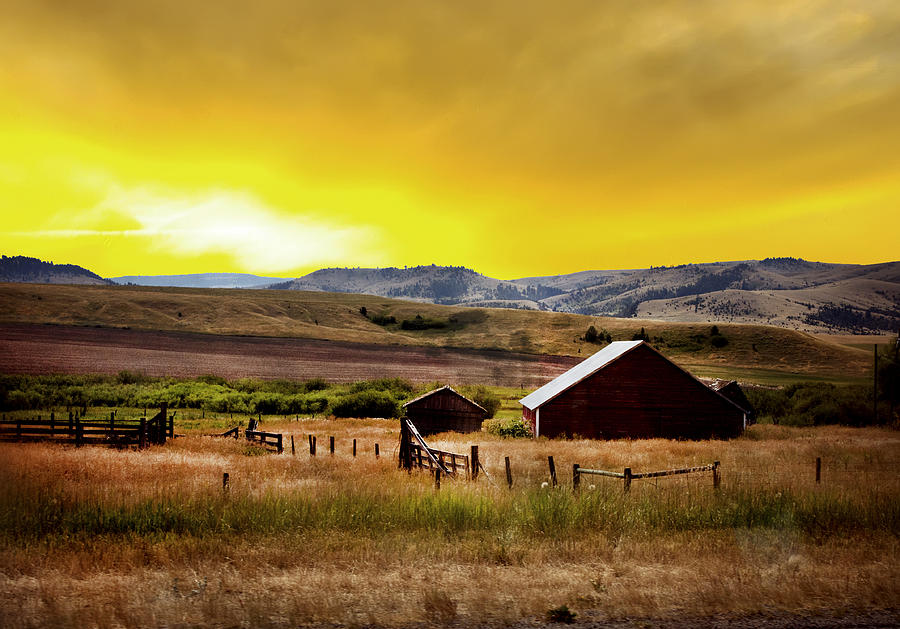 Dawn at the Ranch Photograph by Randall Branham