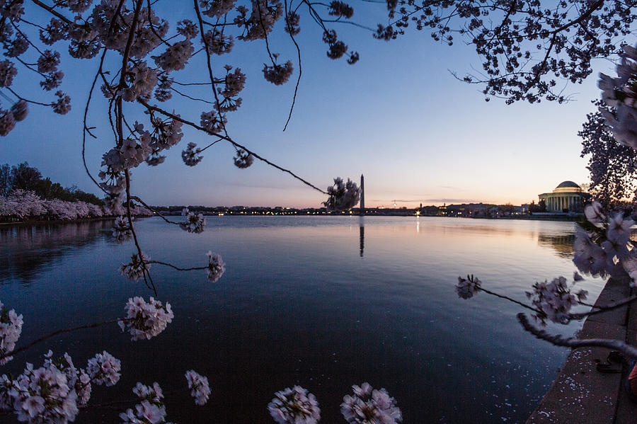 Dawn at Tidal Basin Photograph by SAURAVphoto Online Store