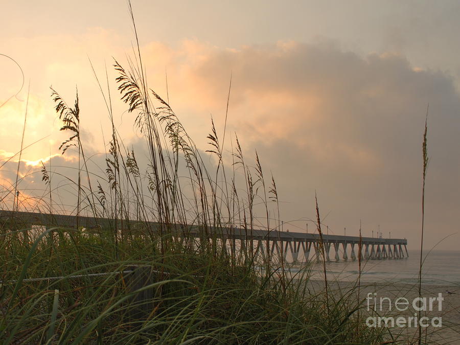 Dawn At The Beach Photograph by Bob Sample