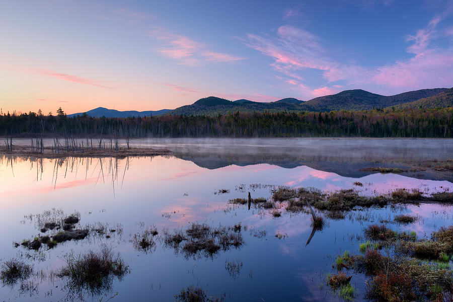 Nature Photograph - Dawn Breaking Over Shaw Pond by Panoramic Images