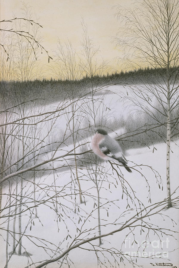 Dawn Bullfinch Painting by Theodor Kittelsen