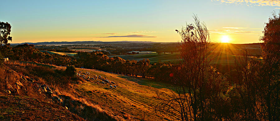 Clare Valley Photograph - Dawn Clare Valley by Tim Lindner