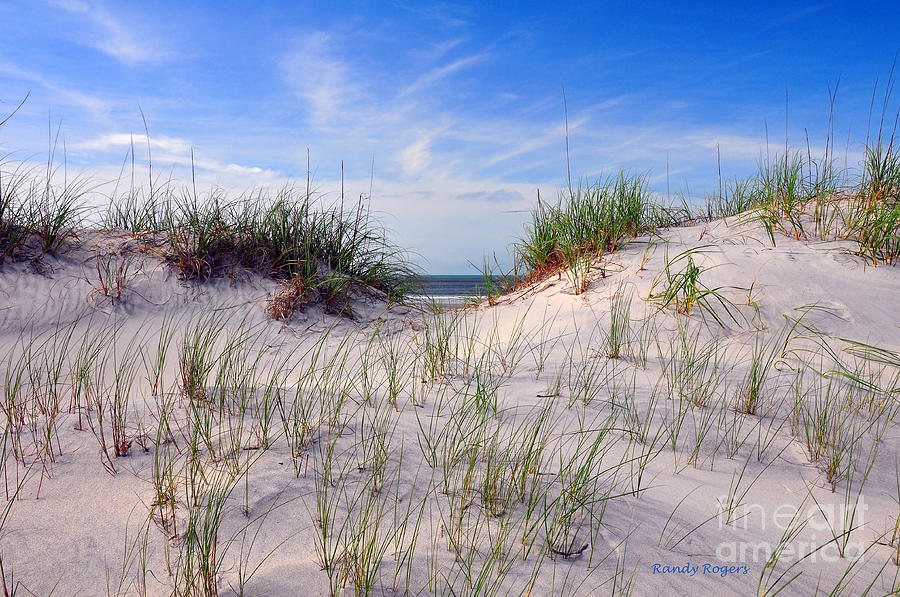 Dawn Dunes Photograph by Randy Rogers