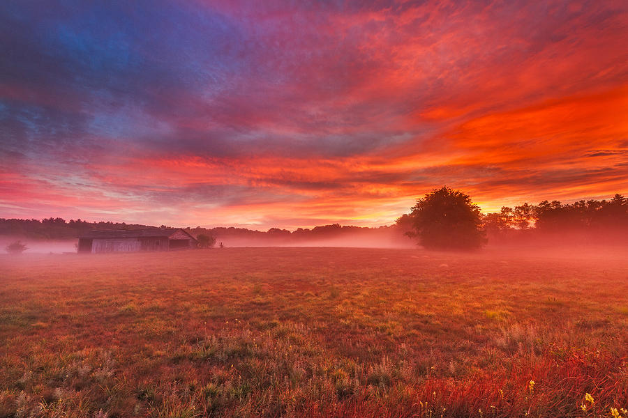 Dawn Explosion Photograph by Bryan Bzdula