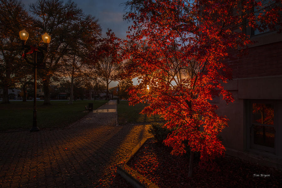 Landscape Photograph - Dawn in the Park by Tim Bryan