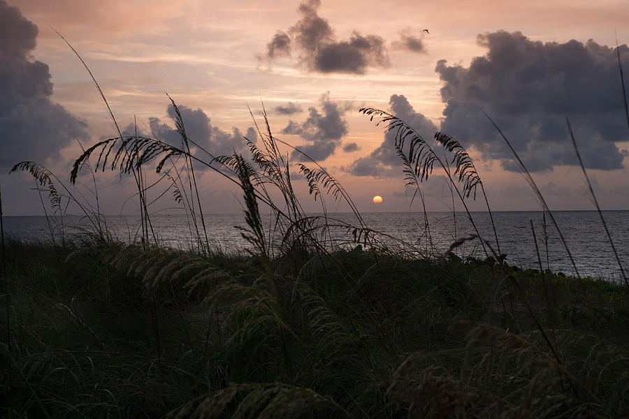 Dawn Photograph by Louis Ferreira