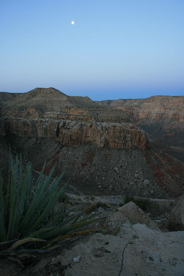 Dawn Moon Over Grand Canyon Photograph by Scott Cunningham