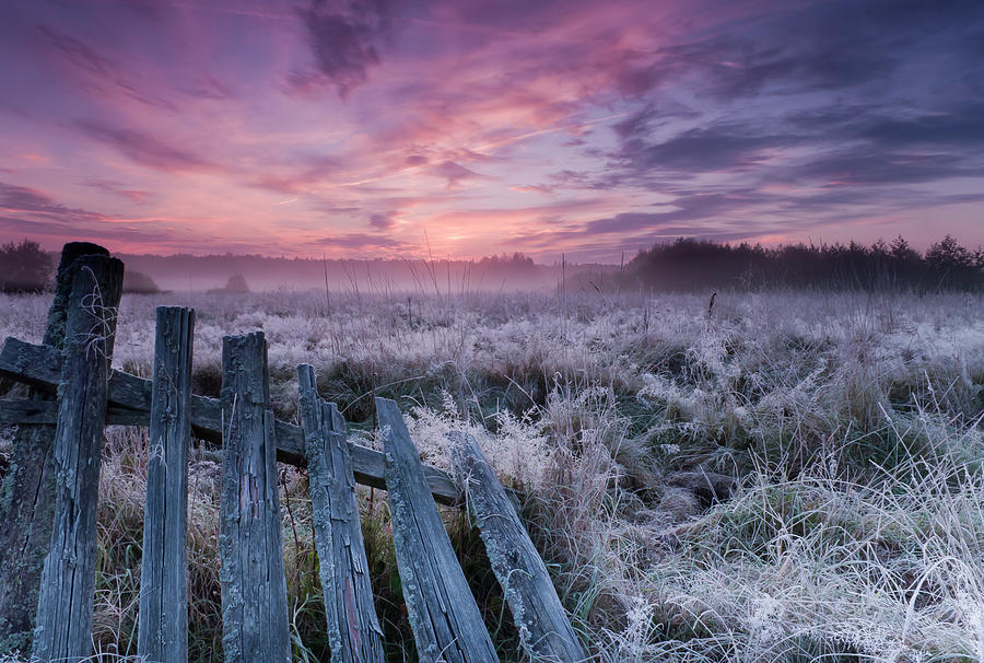 Dawn Of Bialowieza Meadows Photograph by Krzysztof Lorant