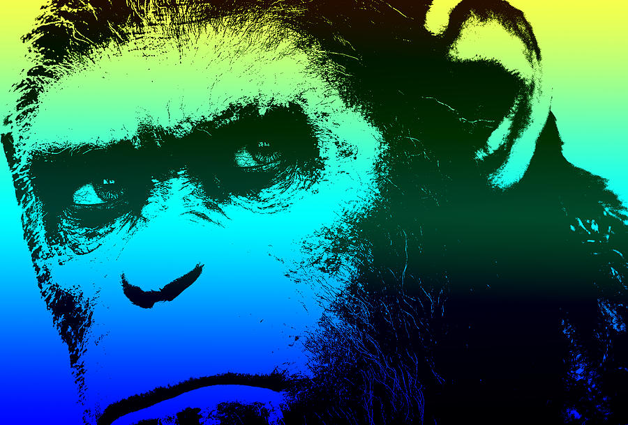 Dawn Of The Planet Of The Apes - Blue Photograph