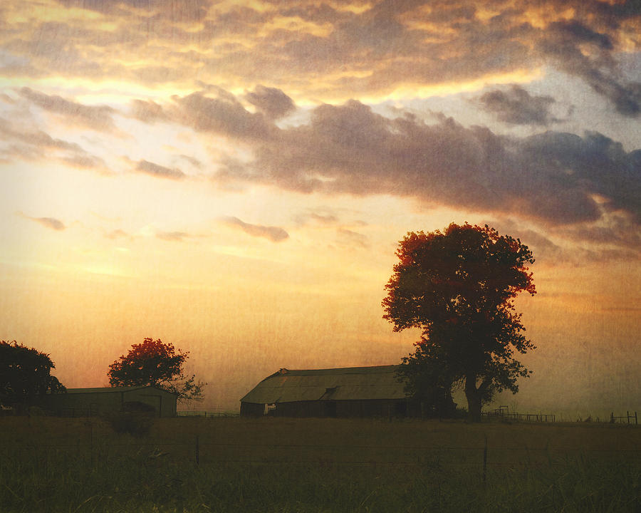Dawn on the Prairie Photograph by Ann Powell