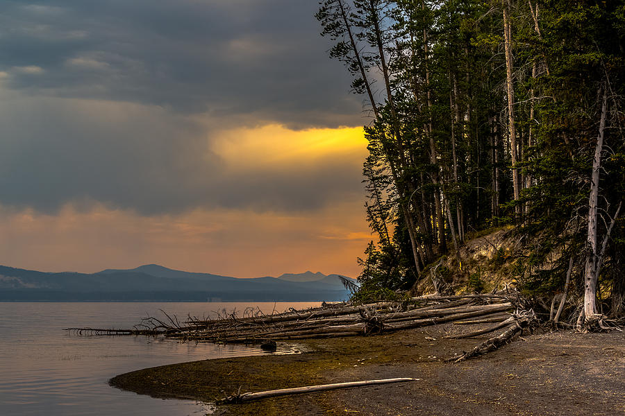 Dawn On Yellowstone Lake Shore Photograph by Yeates Photography