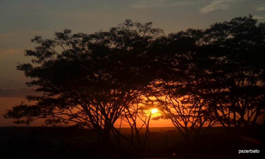 Dawn Photograph by Paulo Zerbato