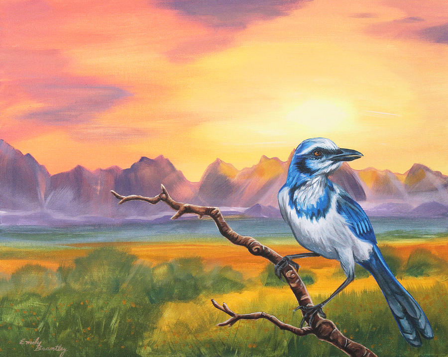 Blue Jay Painting - Dawn Sentinel by Emily Brantley