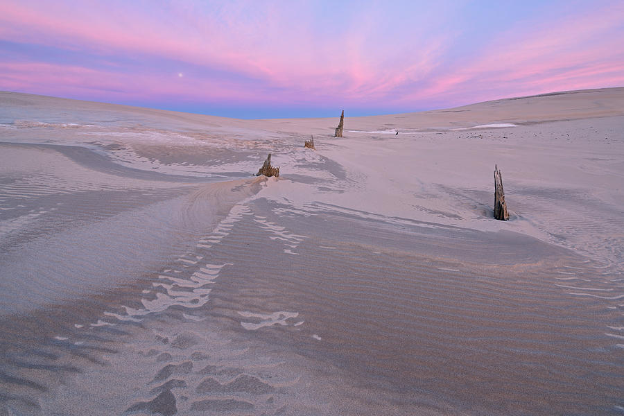 silver lake sand dunes shirts