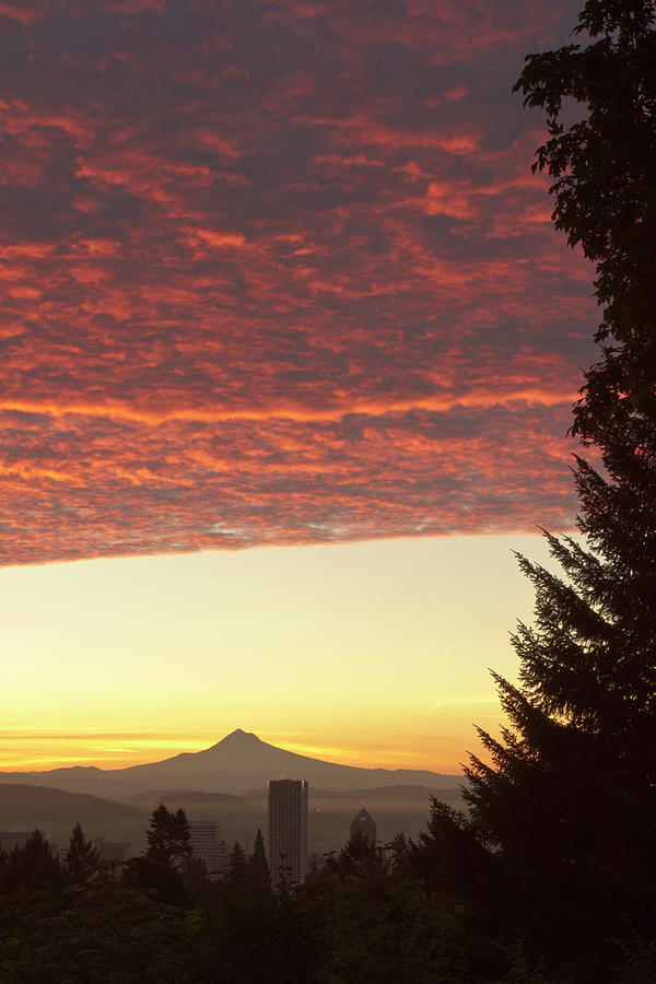 Portland Photograph - Dawn Sky Over Portland, Oregon by William Sutton