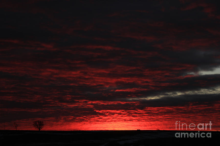 Dawn Photograph by Thomas Danilovich