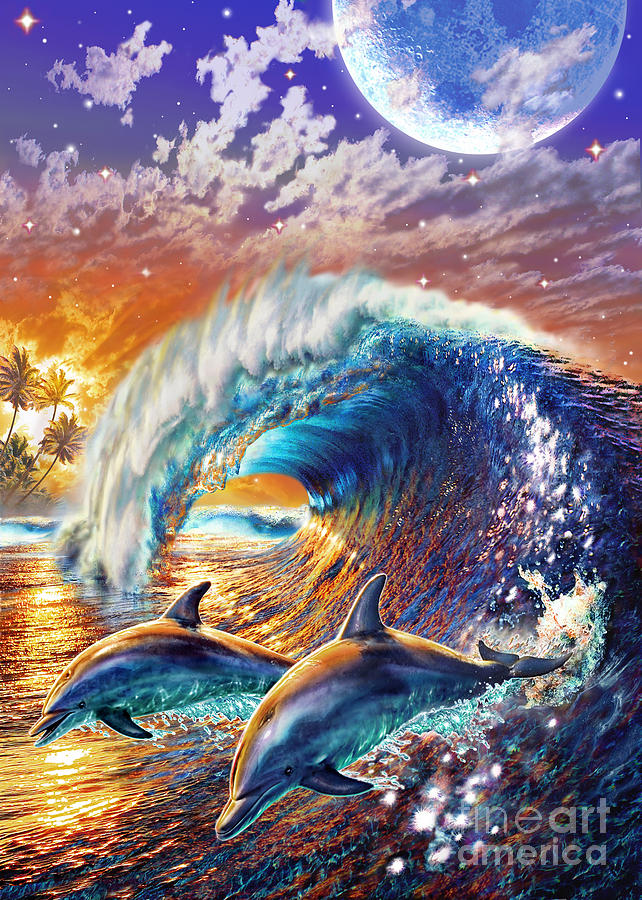 Animal Digital Art - Atlantic Dolphins by MGL Meiklejohn Graphics Licensing