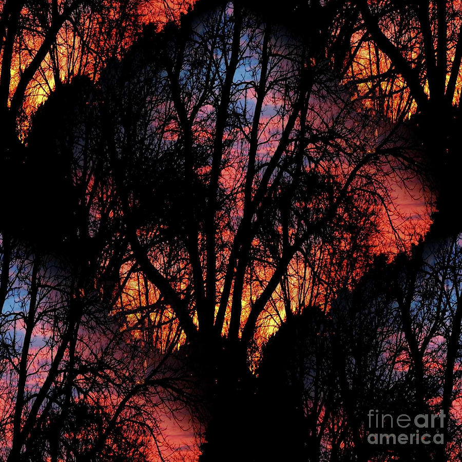 Sunrise - Dawns Early Light Photograph by Luther Fine Art