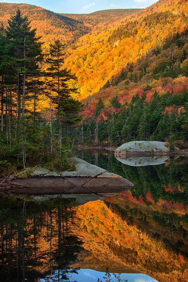 Dawns foliage reflection Photograph by Jeff Folger