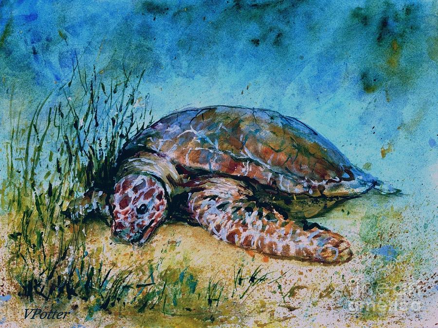  Giant Sea Turtle Painting by Virginia Potter