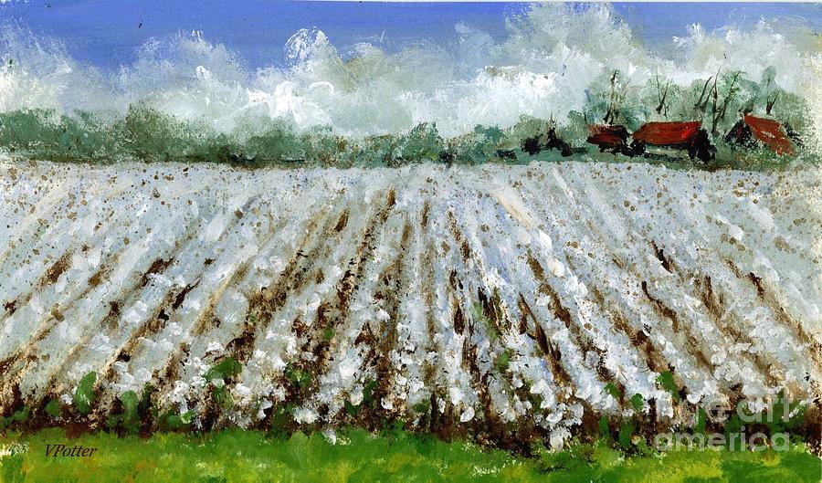 Delta Cotton Field Painting by Virginia Potter