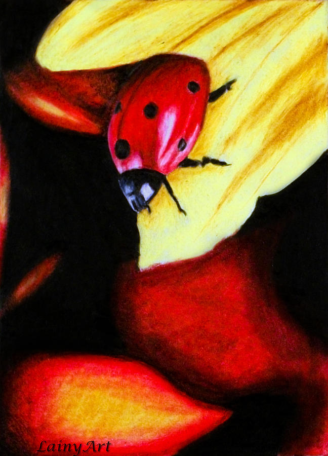 Ladybug Drawing - Day 64 ACEO by Alaina Ferguson